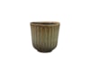 Obal Roger thyme D13 H12