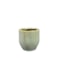 Obal Davide apple green D8 H8