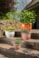 Paleta sad Tiny D106x114 H69, 3 barvy x 6 sad