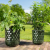 Sada 4 květináčů Jacie forest green D36 H42