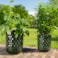 Sada 4 květináčů Jacie forest green D36 H42