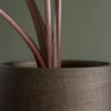 Obal Norell chestnut D15 H13