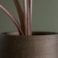 Obal Norell chestnut D15 H13