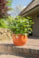 Paleta sad Tiny D106x114 H69, 3 barvy x 6 sad