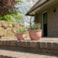 Paleta sad Tiny D106x114 H69, 3 barvy x 6 sad