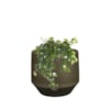 Obal Norell chestnut D15 H13