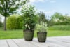 Sada 6 květináčů Caisa forest D49 H46