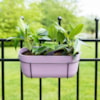 Truhlík Palermo lavender D36x16 H15