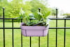 Truhlík Palermo lavender D36x16 H15