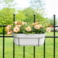 Truhlík Palermo white D35x16 H15