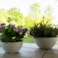 Mísa Fiona cloudy D25 H12