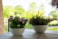 Mísa Fiona cloudy D25 H12