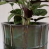 Obal Noemi seagreen D20 H17