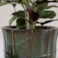Obal Noemi seagreen D20 H17