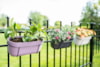 Truhlík Palermo lavender D36x16 H15