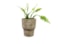 Obal Silas sand D11 H13