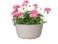 Mísa Palermo white D27 H12