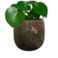 Obal Amber earth D20 H19
