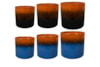 Paleta sad Carmen 24pc colour D114 H71, 2 druhy