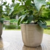 Květináč Palermo marble clay D23 H22