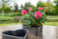 Heart Stacy black D27 H8