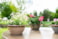 Paleta květináčů Sander colour D114 H75, 3 druhy