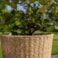 Obal Zora natural D30 H28