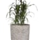 Obal Denzel shinyconcrete D24 H22