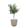 Květináč Palermo marble clay D23 H22