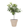 Květináč Ilvy sand D32 H28