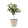 Květináč Ilvy sand D32 H28