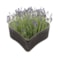 Heart Stacy black D27 H8