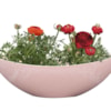 Boat Stacy powder pink D28x9 H9