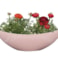 Boat Stacy powder pink D28x9 H9