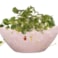 Boat Stacy powder pink D29x13 H12