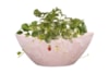 Boat Stacy powder pink D29x13 H12