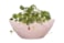 Boat Stacy powder pink D29x13 H12
