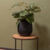Obal Joyce anthracite D22 H20