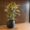 Obal Joyce anthracite D31 H28