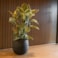 Obal Joyce anthracite D31 H28