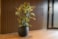 Obal Joyce anthracite D31 H28