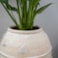 Obal Kris ivory D21 H23