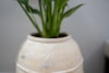 Obal Kris ivory D21 H23