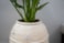 Obal Kris ivory D21 H23