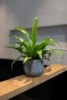 Obal Renzo shiny grey D18 H16