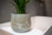 Obal Jelmer mint D20 H17