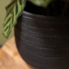 Obal Joyce anthracite D31 H28
