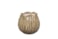 Obal Flora taupe D20 H17