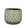 Obal Debby thyme D18 H15