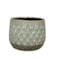Obal Debby thyme D18 H15